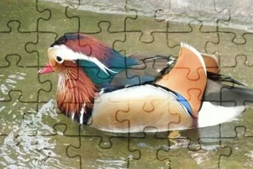 MARSU jigsaw puzzle