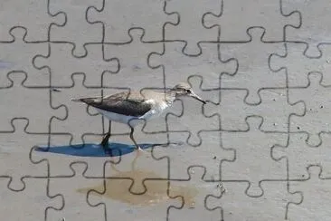 MARSU jigsaw puzzle