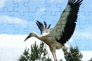 MARSU jigsaw puzzle