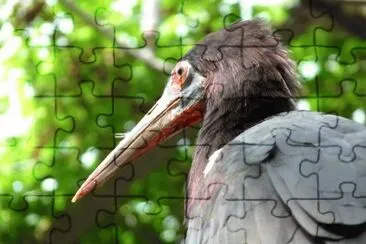 MARSU jigsaw puzzle
