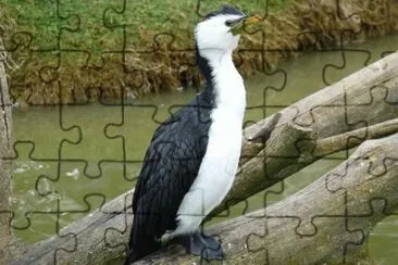 MARSU jigsaw puzzle