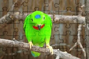 MARSU jigsaw puzzle