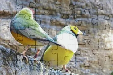 MARSU jigsaw puzzle