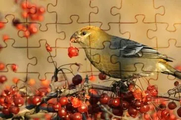 MARSU jigsaw puzzle