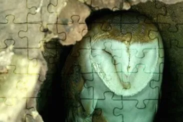 MARSU jigsaw puzzle
