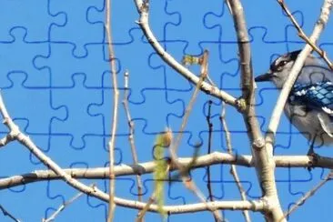 MARSU jigsaw puzzle