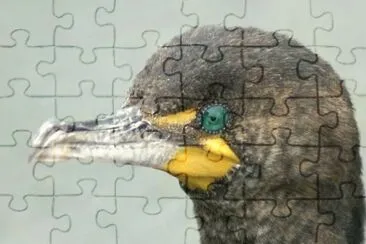 MARSU jigsaw puzzle