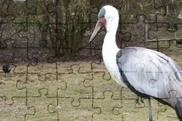 MARSU jigsaw puzzle