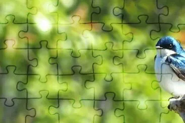 MARSU jigsaw puzzle