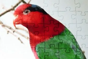 MARSU jigsaw puzzle