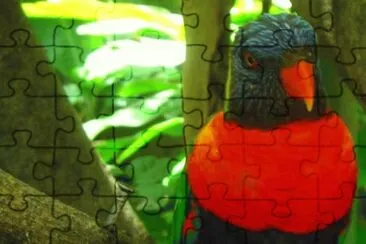 MARSU jigsaw puzzle