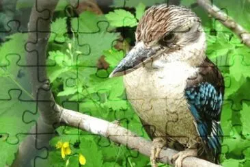 MARSU jigsaw puzzle