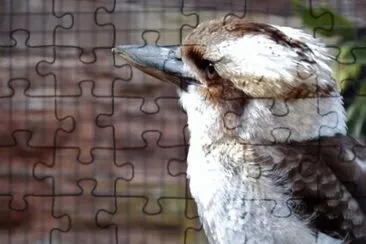 MARSU jigsaw puzzle