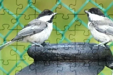 MARSU jigsaw puzzle