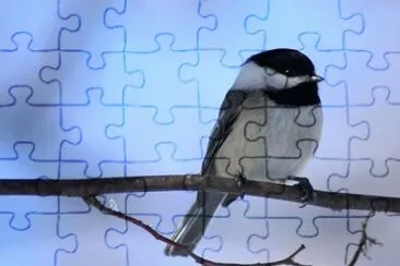 MARSU jigsaw puzzle