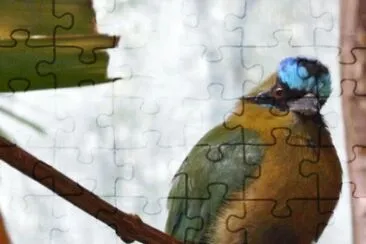 MARSU jigsaw puzzle