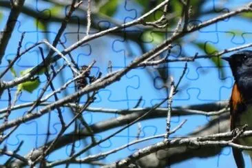 MARSU jigsaw puzzle