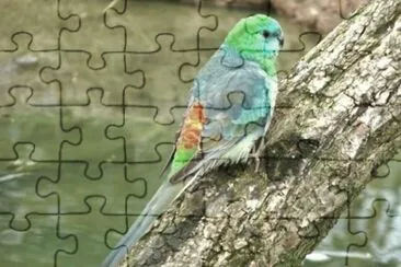 MARSU jigsaw puzzle