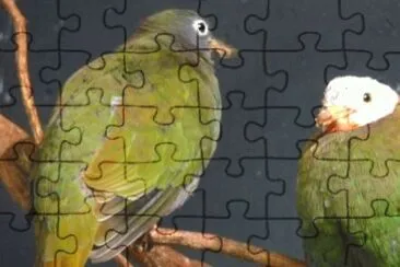 MARSU jigsaw puzzle