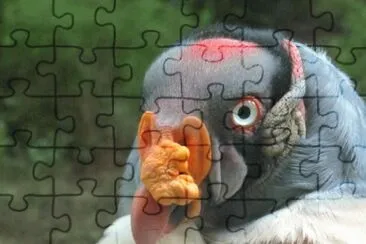 MARSU jigsaw puzzle
