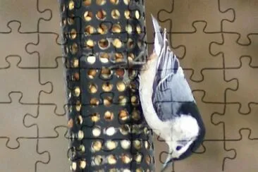 MARSU jigsaw puzzle
