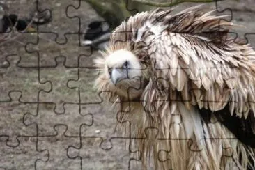 MARSU jigsaw puzzle