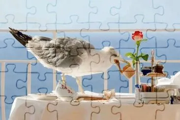 s jigsaw puzzle