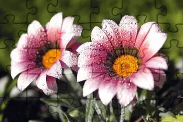 flores jigsaw puzzle