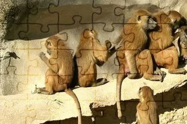 MARSU jigsaw puzzle