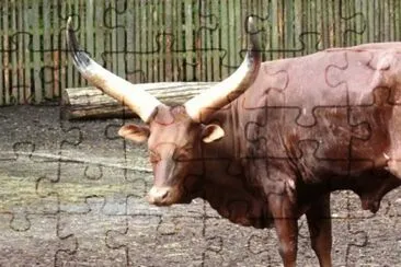 MARSU jigsaw puzzle