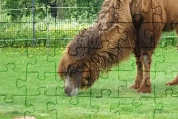 MARSU jigsaw puzzle