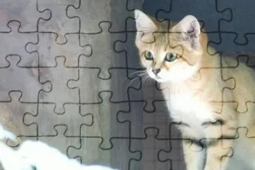 MARSU jigsaw puzzle