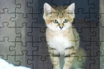 MARSU jigsaw puzzle