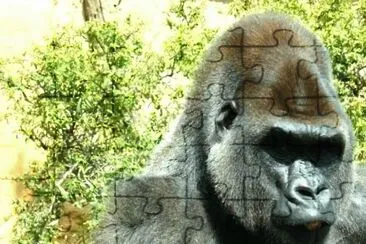 MARSU jigsaw puzzle