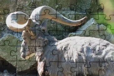 MARSU jigsaw puzzle