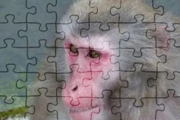 MARSU jigsaw puzzle
