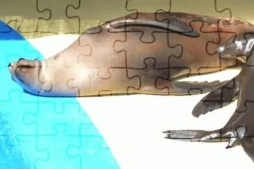 MARSU jigsaw puzzle