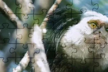 MARSU jigsaw puzzle