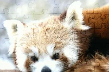 MARSU