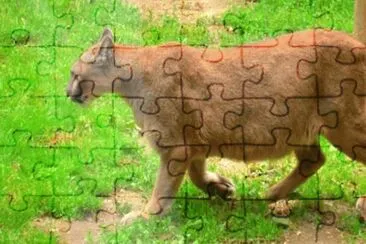 MARSU jigsaw puzzle