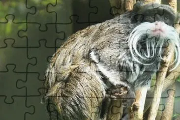 MARSU jigsaw puzzle