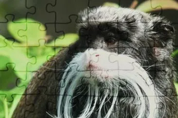 MARSU jigsaw puzzle