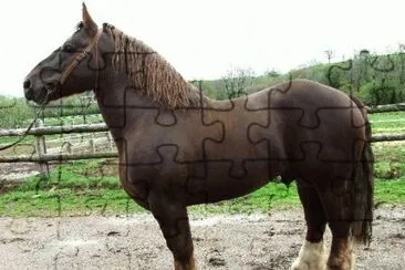 MARSU jigsaw puzzle