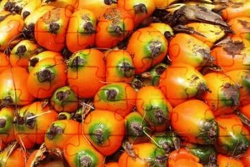 Coco do dendÃª jigsaw puzzle
