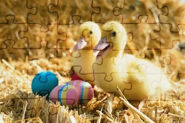 פאזל של Ducklings with Eggs