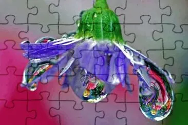c jigsaw puzzle