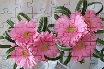 c jigsaw puzzle