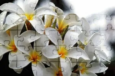 b jigsaw puzzle