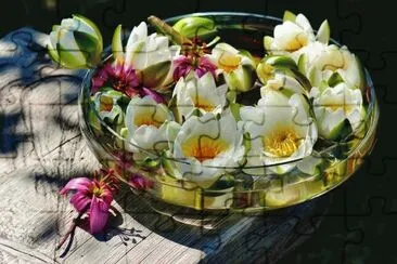 b jigsaw puzzle