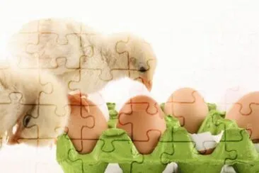MARSU jigsaw puzzle
